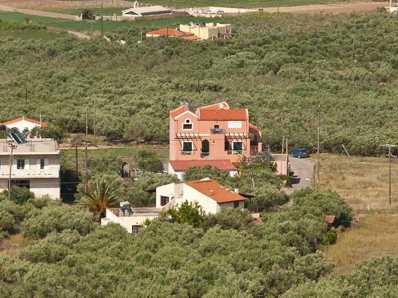 Olive Tree Apartments